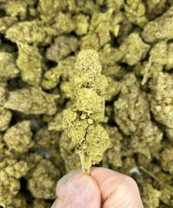 London Pound Cake CBD Flower Indoor 24% UK