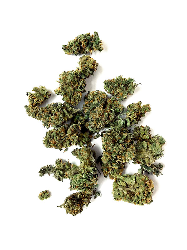 Amnesia-min-scaled-1 Orange Tree uk