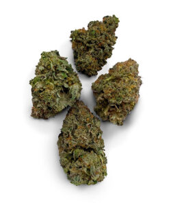 Sour Headband Strain UK
