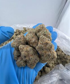 Big Back Strain UK