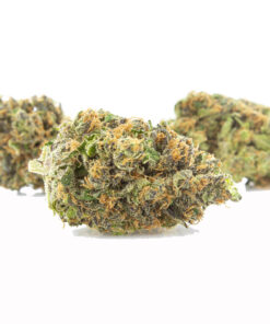 Buy Zitttles uk